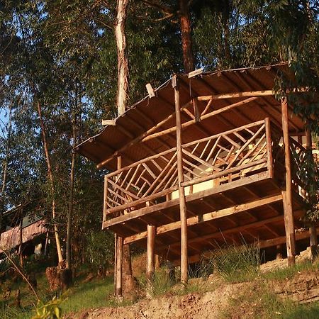 Amasiko Homestay Lake Bunyonyi Kabale Eksteriør billede