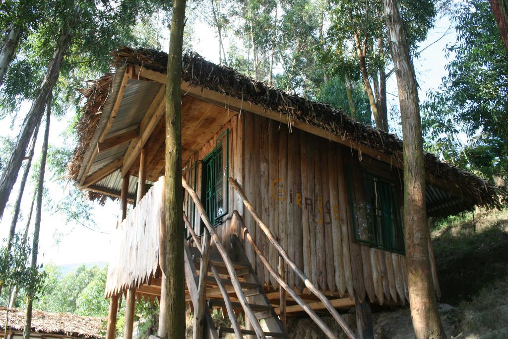 Amasiko Homestay Lake Bunyonyi Kabale Eksteriør billede