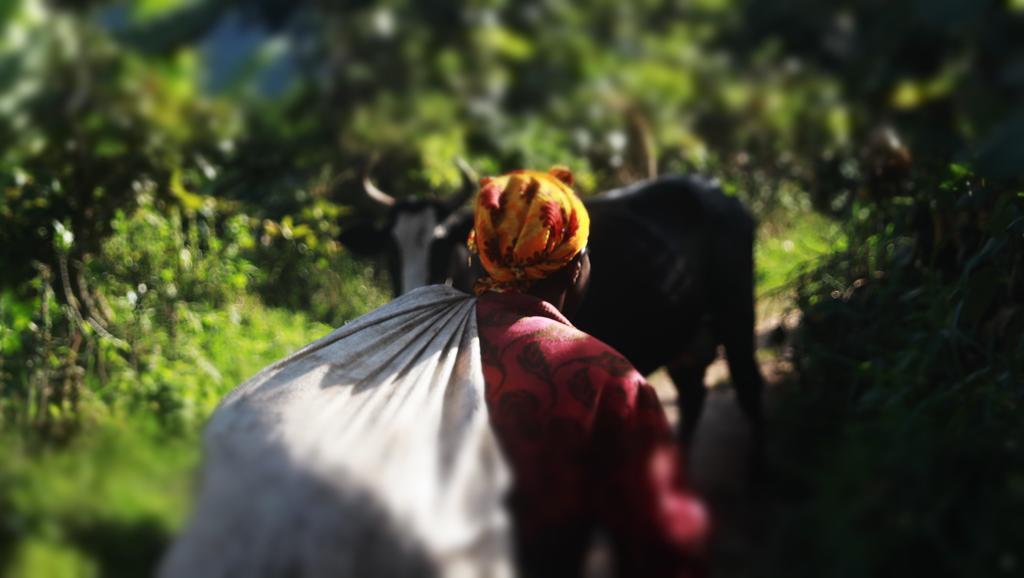 Amasiko Homestay Lake Bunyonyi Kabale Eksteriør billede
