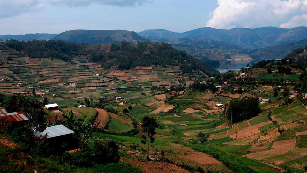 Amasiko Homestay Lake Bunyonyi Kabale Eksteriør billede