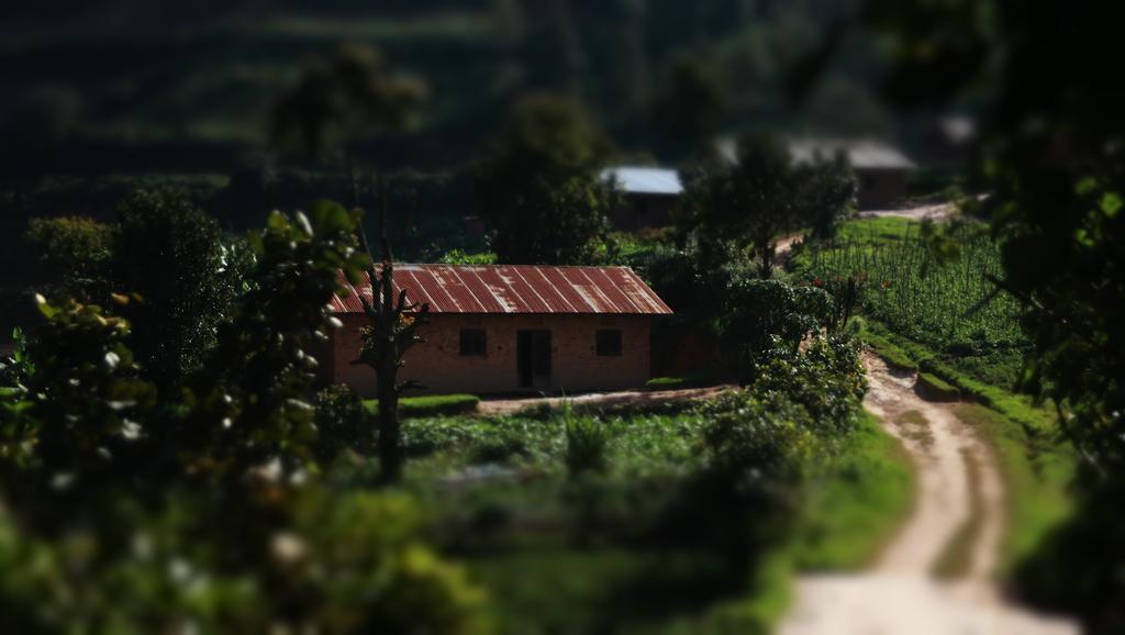 Amasiko Homestay Lake Bunyonyi Kabale Eksteriør billede