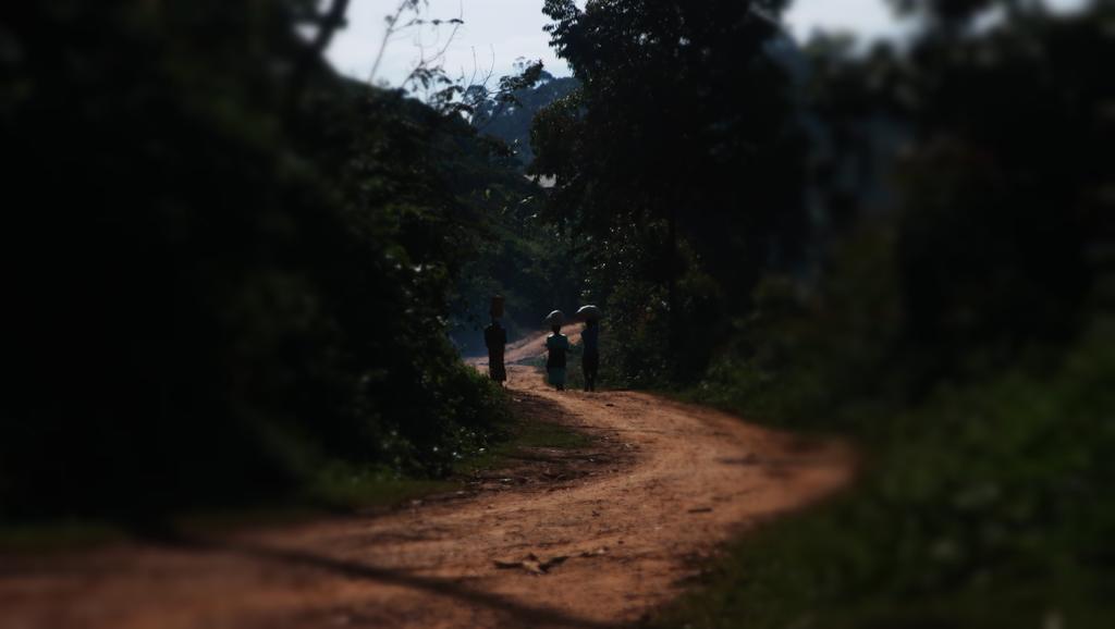 Amasiko Homestay Lake Bunyonyi Kabale Eksteriør billede