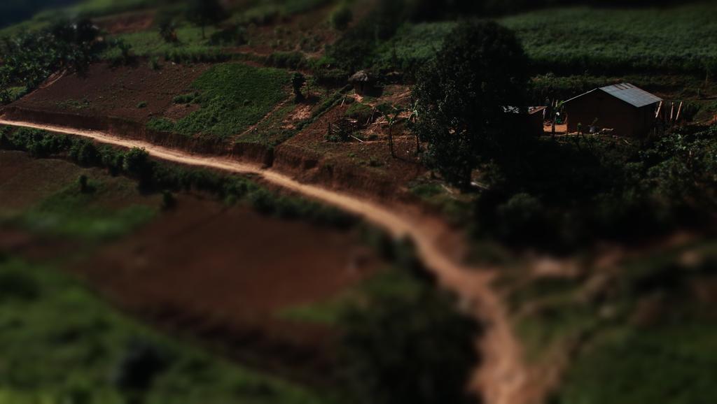 Amasiko Homestay Lake Bunyonyi Kabale Eksteriør billede